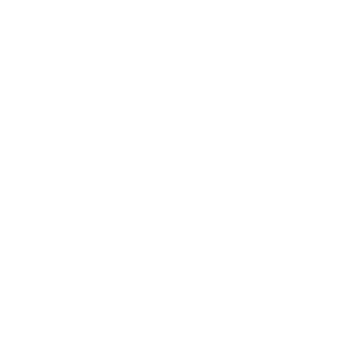 Crazy Bull